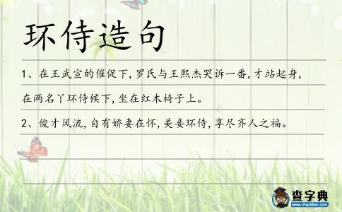環侍造句