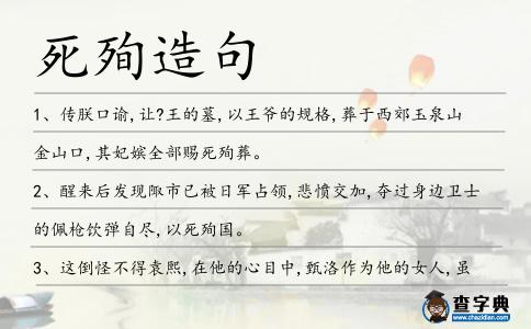 死殉造句