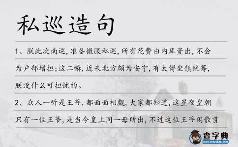 私巡造句