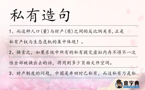 私有造句