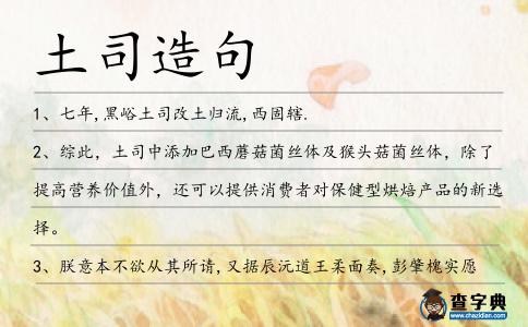 土司造句