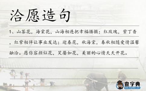 洽愿造句