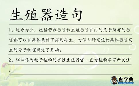 生殖器造句