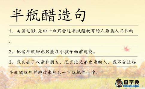 半瓶醋造句