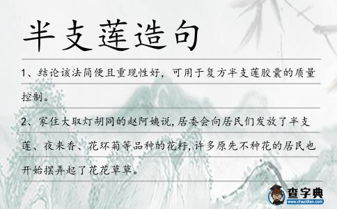 半支蓮造句
