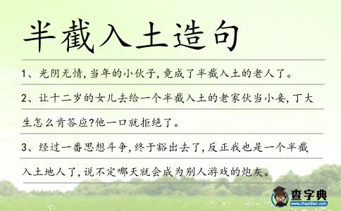 半截入土造句