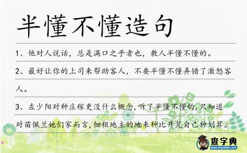 半懂不懂造句