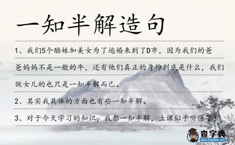一知半解造句