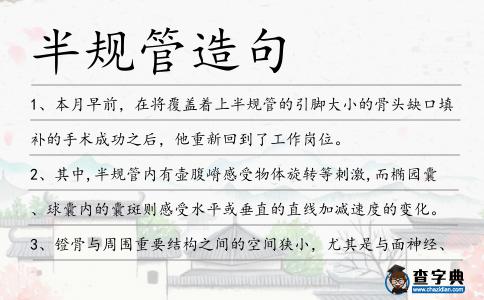 半規管造句