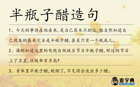 半瓶子醋造句