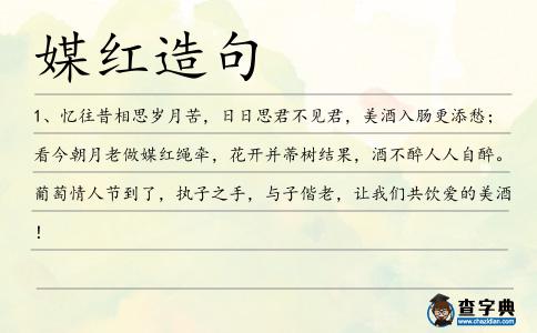 媒紅造句