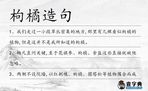 枸橘造句