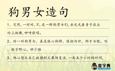 狗男女造句