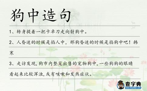 狗中造句
