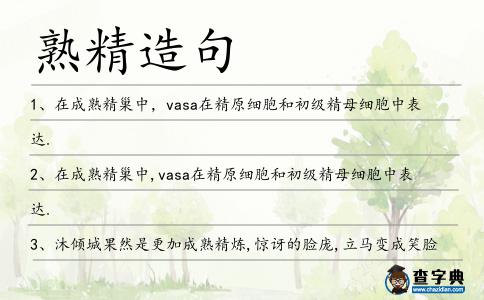 熟精造句