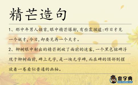 精芒造句