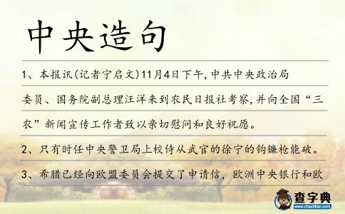 中央造句