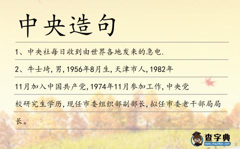 中央造句
