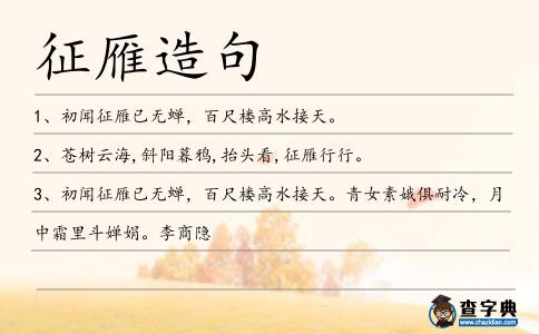 征雁造句