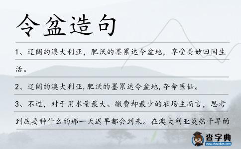 令盆造句