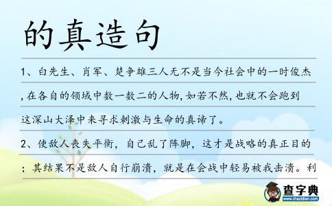 的真造句