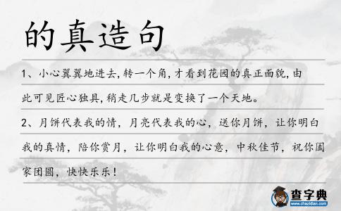 的真造句
