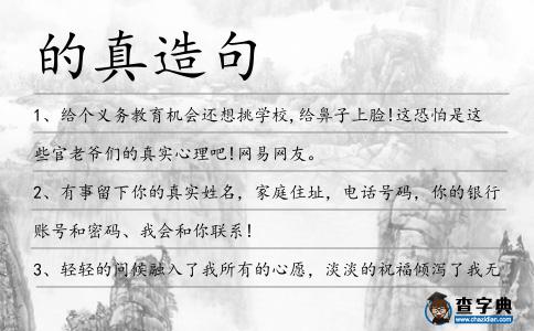 的真造句