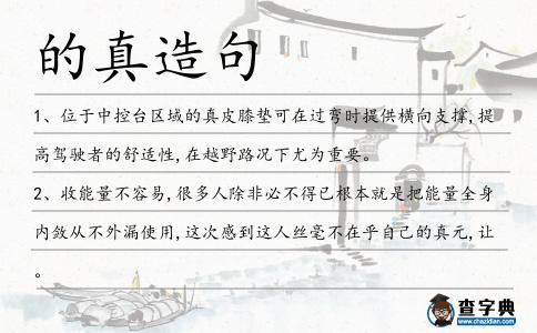 的真造句