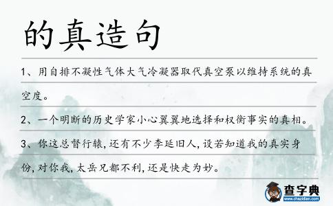 的真造句