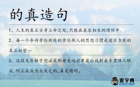 的真造句