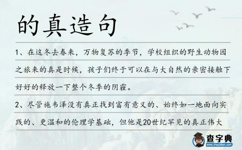的真造句
