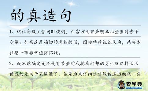 的真造句