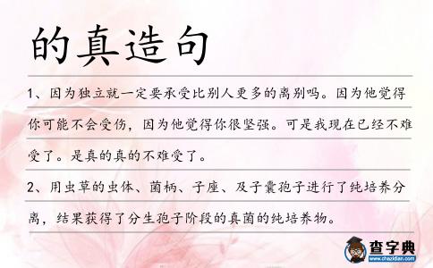 的真造句