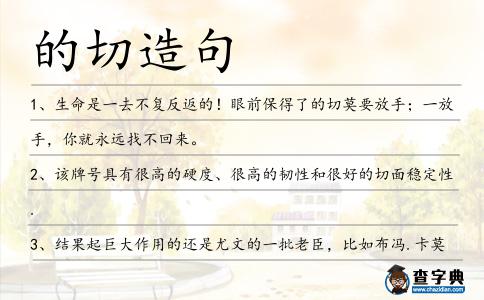 的切造句
