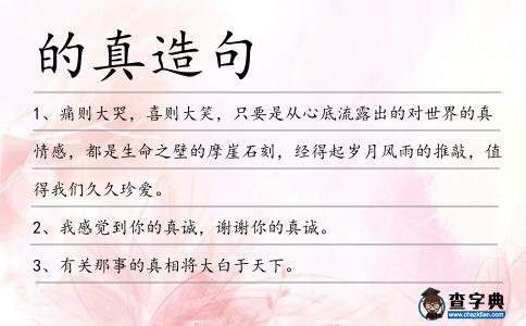 的真造句