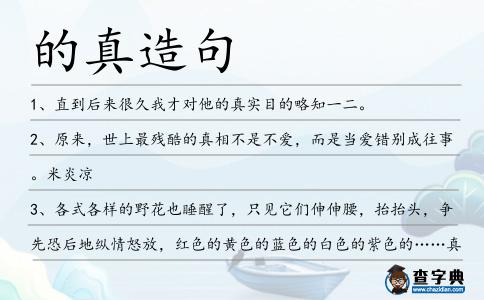 的真造句