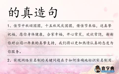 的真造句