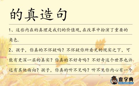 的真造句