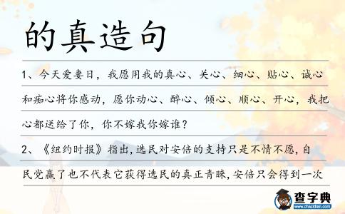 的真造句
