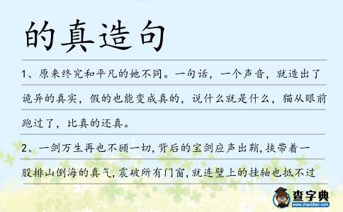 的真造句