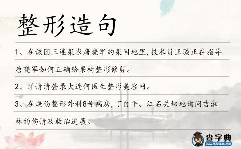 整形造句