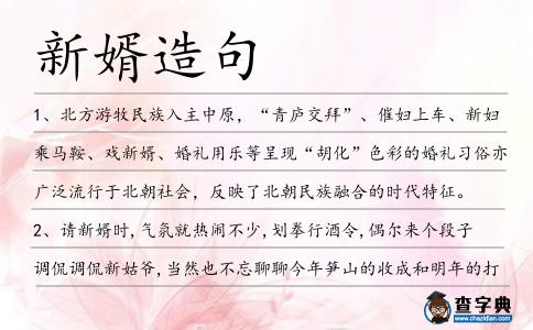 新婿造句