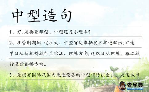 中型造句
