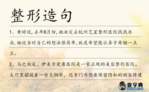 整形造句