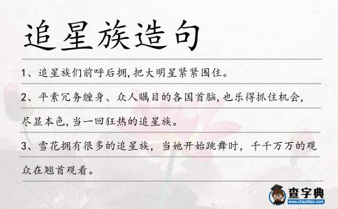 追星族造句