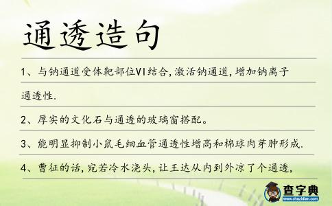 通透造句
