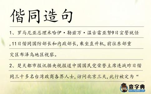 偕同造句