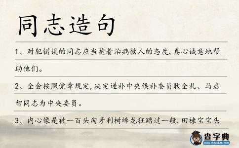 同志造句
