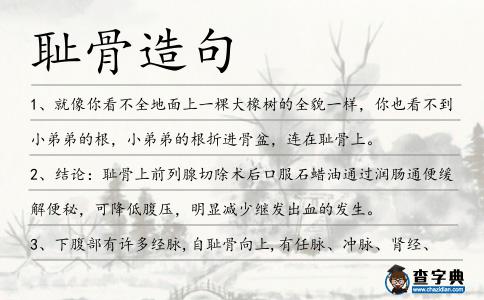 恥骨造句