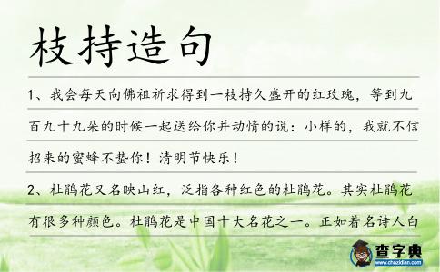 枝持造句